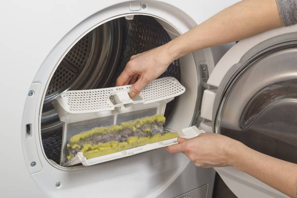 dust and hairs in reservoir , fluffy trap of the drying machine or tumble dryer